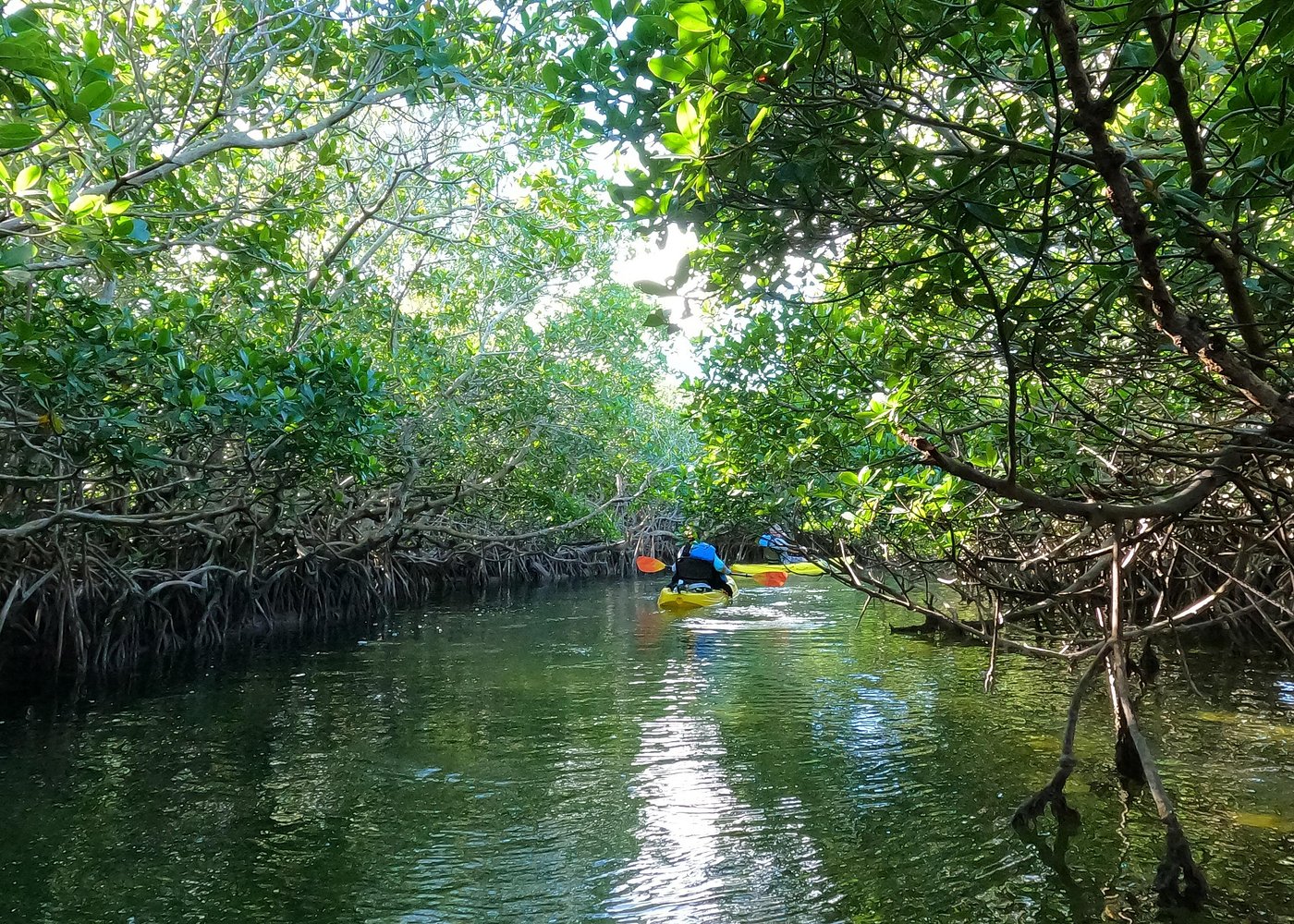 kayak key largo