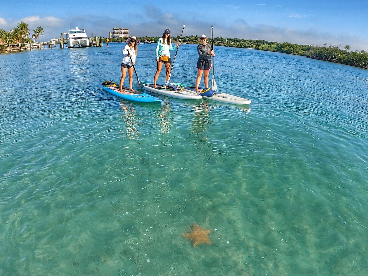 Paddleboard Tour Florida Keys